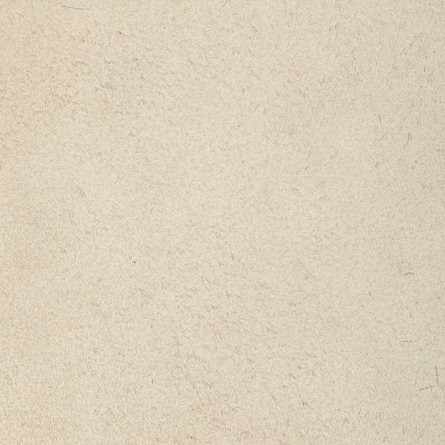 KRAVET DESIGN L-PERCHA.BISCUIT.0 KRAVET DESIGN L-PERCHA-BISCUIT Fabric - Eade's Wallpaper