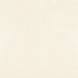 KRAVET DESIGN L-PERL.IVORY.0 KRAVET DESIGN L-PERL-IVORY Fabric - Eade's Wallpaper