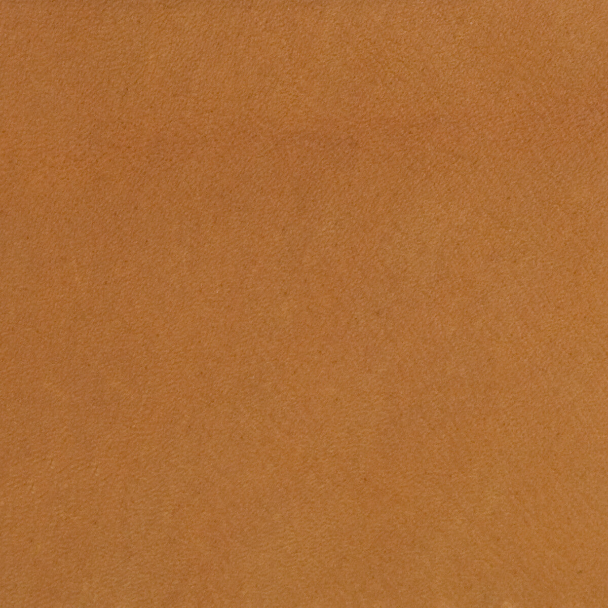 KRAVET DESIGN L-POLO.CANYON.0 KRAVET DESIGN L-POLO-CANYON Fabric - Eade's Wallpaper