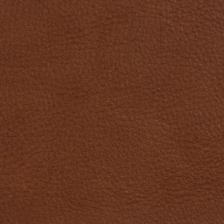 KRAVET DESIGN L-RANGE.COFFEE.0 L-RANGE COFFEE Fabric - Eade's Wallpaper