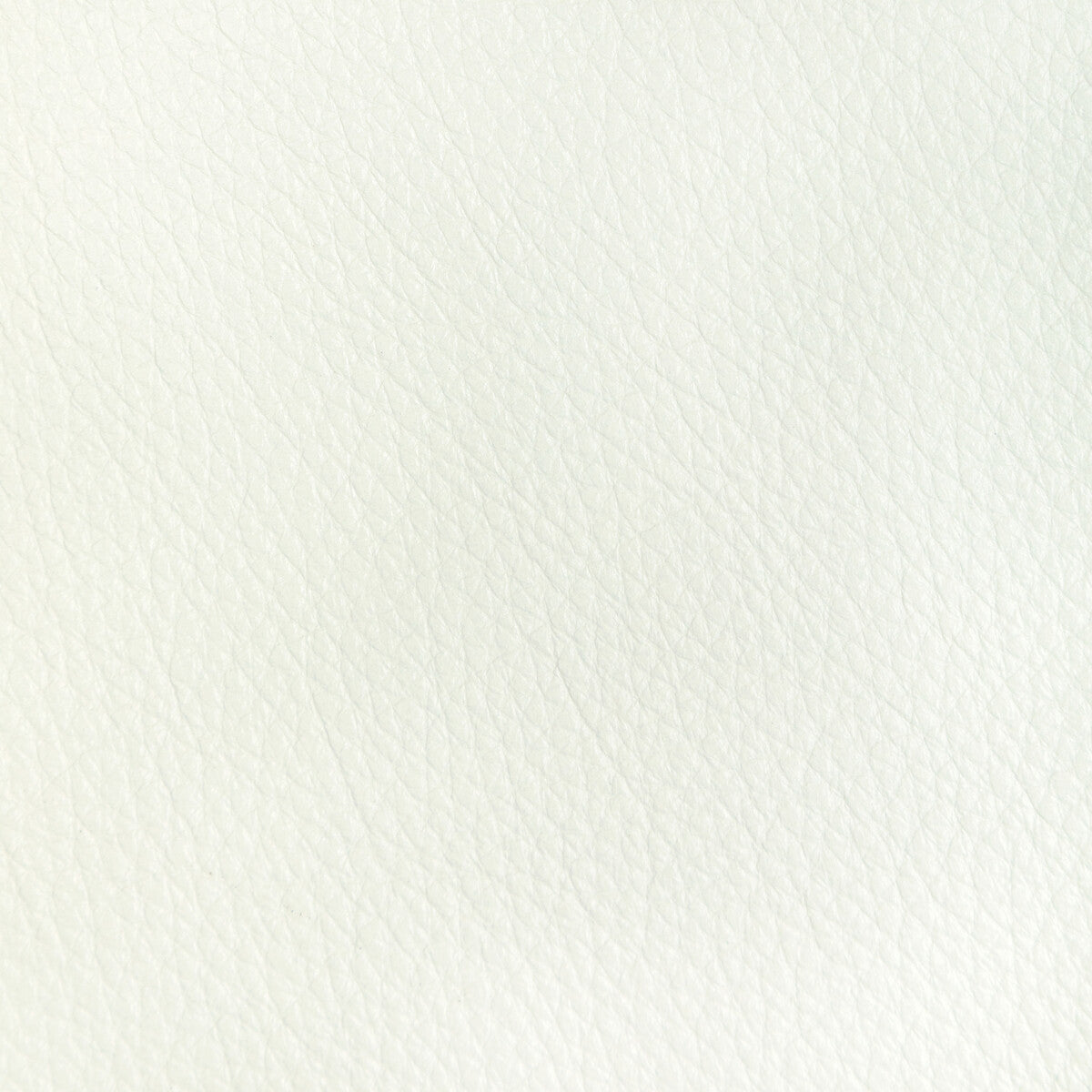 KRAVET DESIGN L-REATA.SNOW.0 KRAVET DESIGN L-REATA-SNOW Fabric - Eade's Wallpaper