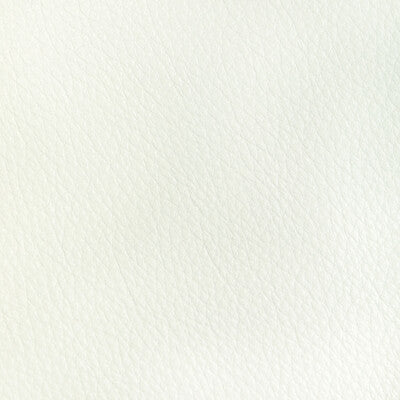 KRAVET DESIGN L-REATA.SNOW.0 KRAVET DESIGN L-REATA-SNOW Fabric - Eade's Wallpaper