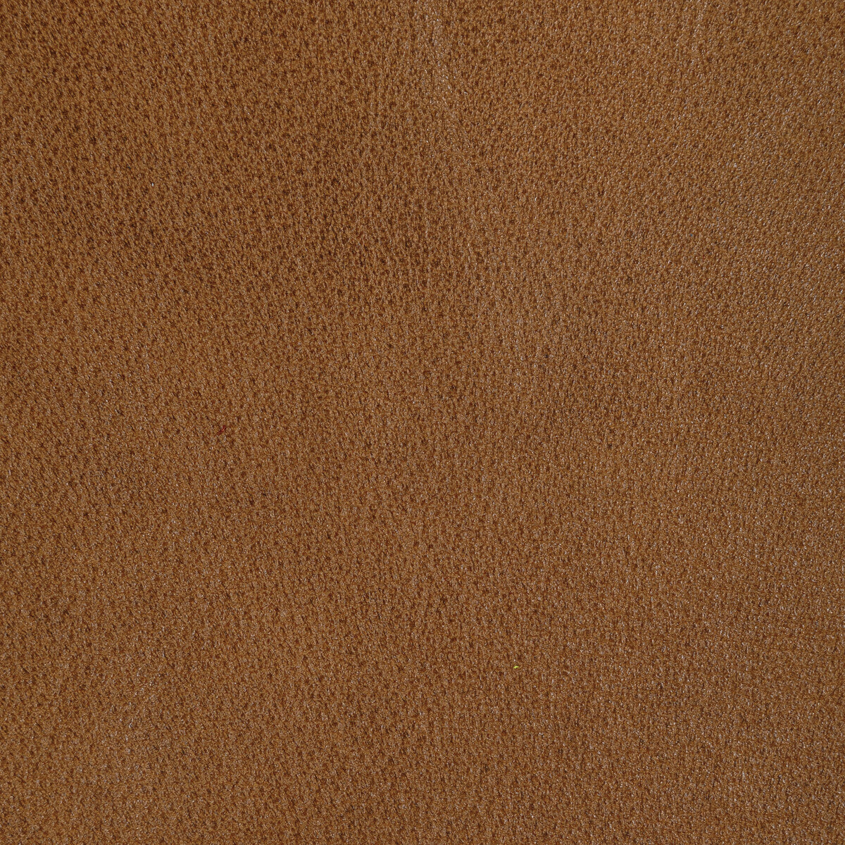 KRAVET DESIGN L-REIN.CHAI.0 KRAVET DESIGN L-REIN-CHAI Fabric - Eade's Wallpaper