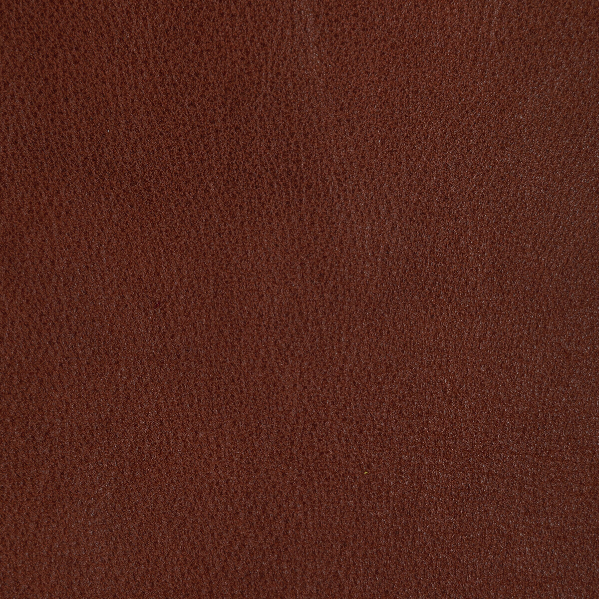 KRAVET DESIGN L-REIN.MAPLE.0 KRAVET DESIGN L-REIN-MAPLE Fabric - Eade's Wallpaper