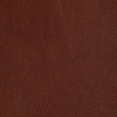 KRAVET DESIGN L-REIN.MAPLE.0 KRAVET DESIGN L-REIN-MAPLE Fabric - Eade's Wallpaper