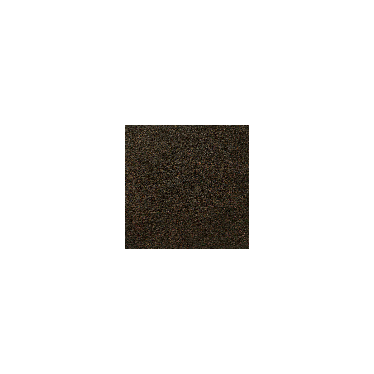 KRAVET DESIGN L-RODEO.CIGAR.0 L-RODEO CIGAR Fabric - Eade's Wallpaper