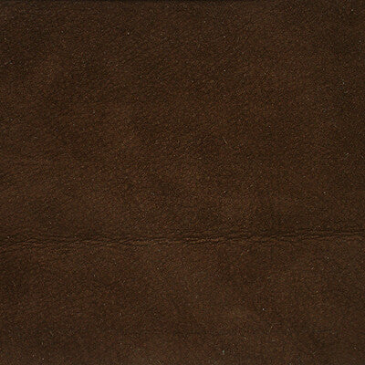 KRAVET DESIGN L-SAGUARO.MOCHA.0 KRAVET DESIGN L-SAGUARO-MOCHA Fabric - Eade's Wallpaper