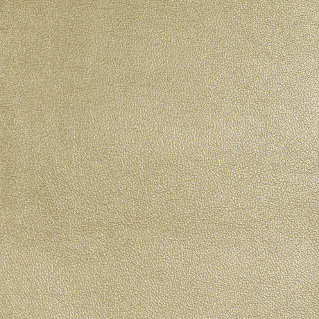 KRAVET DESIGN L-SIERRA.GLIMMER.0 KRAVET DESIGN L-SIERRA-GLIMMER Fabric - Eade's Wallpaper