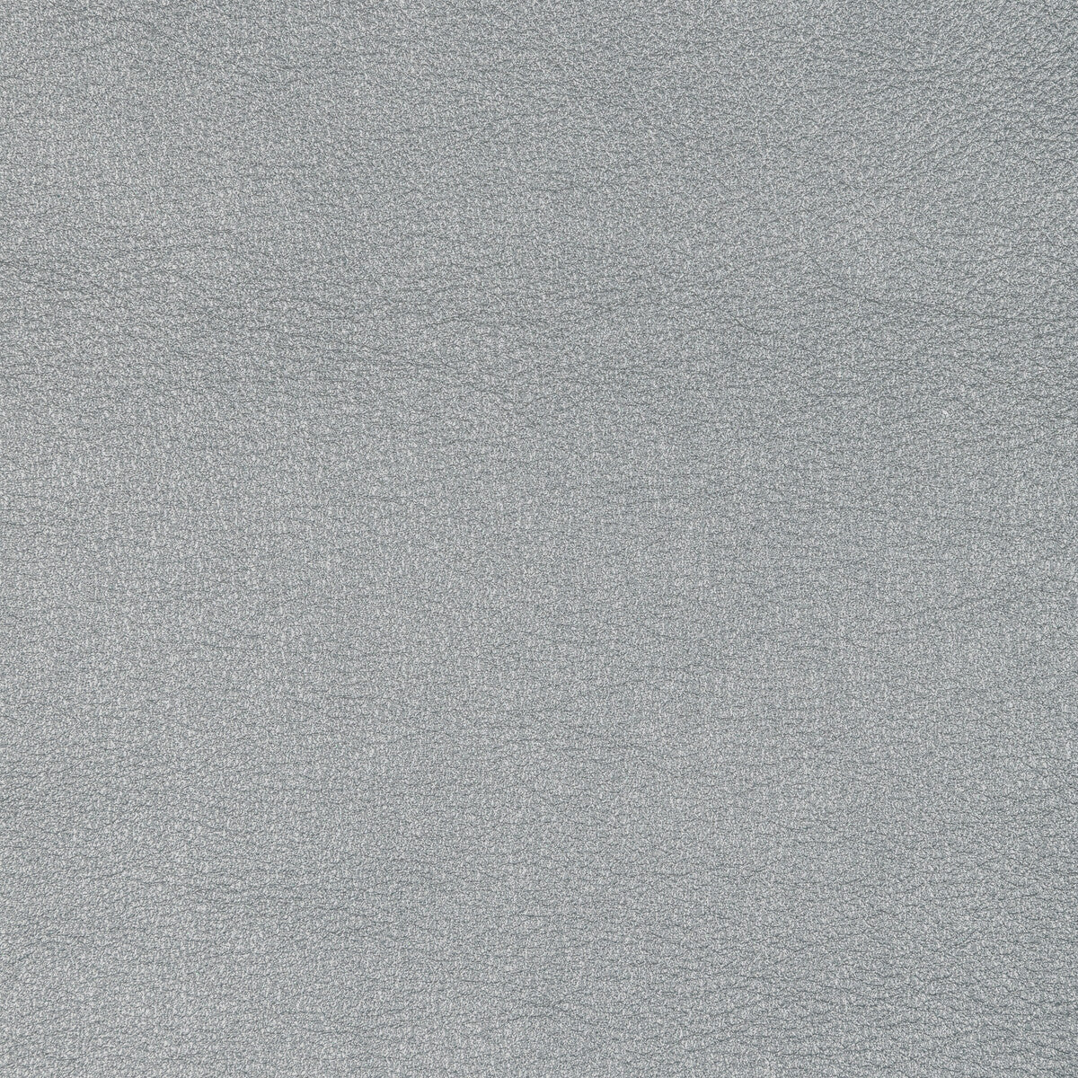 KRAVET DESIGN L-SIERRA.PLATINUM.0 KRAVET DESIGN L-SIERRA-PLATINUM Fabric - Eade's Wallpaper