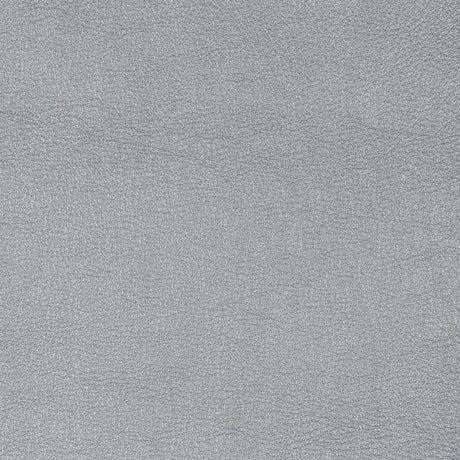 KRAVET DESIGN L-SIERRA.PLATINUM.0 KRAVET DESIGN L-SIERRA-PLATINUM Fabric - Eade's Wallpaper