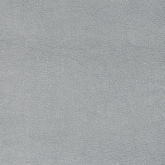 KRAVET DESIGN L-SIERRA.PLATINUM.0 KRAVET DESIGN L-SIERRA-PLATINUM Fabric - Eade's Wallpaper