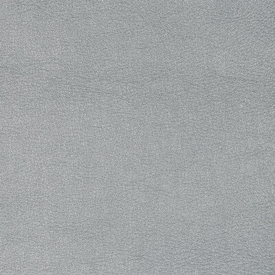 KRAVET DESIGN L-SIERRA.PLATINUM.0 KRAVET DESIGN L-SIERRA-PLATINUM Fabric - Eade's Wallpaper