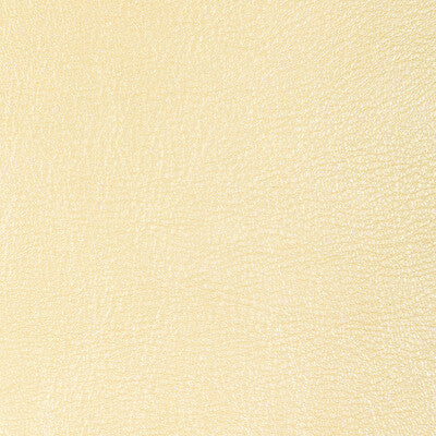 KRAVET DESIGN L-SIERRA.WHEAT.0 KRAVET DESIGN L-SIERRA-WHEAT Fabric - Eade's Wallpaper