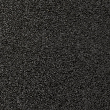 KRAVET DESIGN L-SONORAN.CHARCOAL.0 KRAVET DESIGN L-SONORAN-CHARCOAL Fabric - Eade's Wallpaper