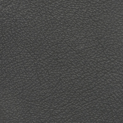 KRAVET DESIGN L-SPECTRUM.SLATE.0 KRAVET DESIGN  Fabric - Eade's Wallpaper