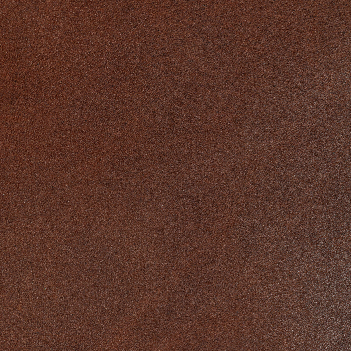 KRAVET DESIGN L-STORRIE.COCOA.0 KRAVET DESIGN L-STORRIE-COCOA Fabric - Eade's Wallpaper