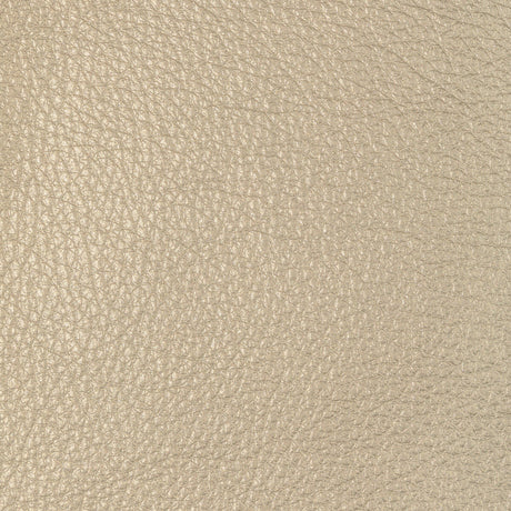 KRAVET DESIGN L-SUGARITE.TAUPE.0 KRAVET DESIGN L-SUGARITE-TAUPE Fabric - Eade's Wallpaper