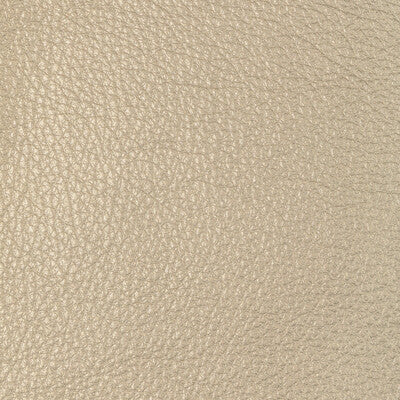 KRAVET DESIGN L-SUGARITE.TAUPE.0 KRAVET DESIGN L-SUGARITE-TAUPE Fabric - Eade's Wallpaper