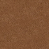 KRAVET DESIGN L-TIMELESS.DESERT.0 KRAVET DESIGN L-TIMELESS-DESERT Fabric - Eade's Wallpaper