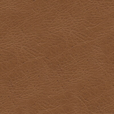 KRAVET DESIGN L-TIMELESS.DESERT.0 KRAVET DESIGN L-TIMELESS-DESERT Fabric - Eade's Wallpaper