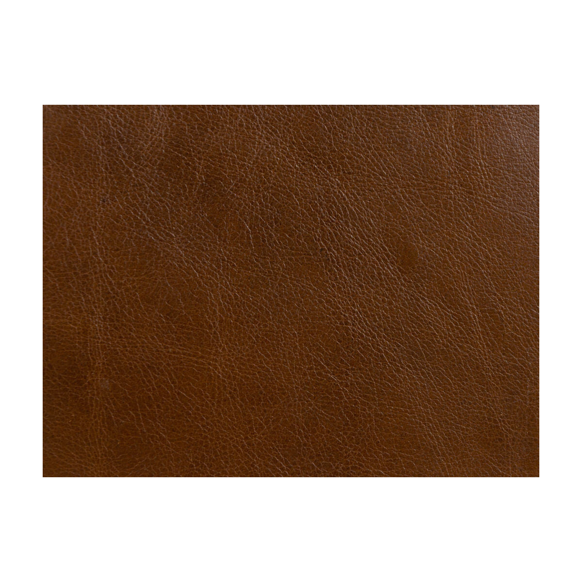 KRAVET DESIGN L-TIMELESS.SADDLE.0 KRAVET DESIGN L-TIMELESS-SADDLE Fabric - Eade's Wallpaper