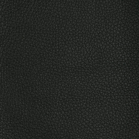KRAVET DESIGN L-TUCUM.BLACK.0 KRAVET DESIGN L-TUCUM-BLACK Fabric - Eade's Wallpaper