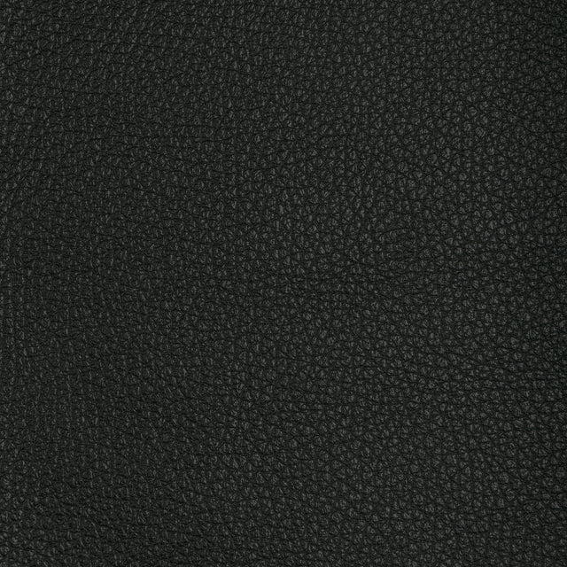 KRAVET DESIGN L-TUCUM.BLACK.0 KRAVET DESIGN L-TUCUM-BLACK Fabric - Eade's Wallpaper