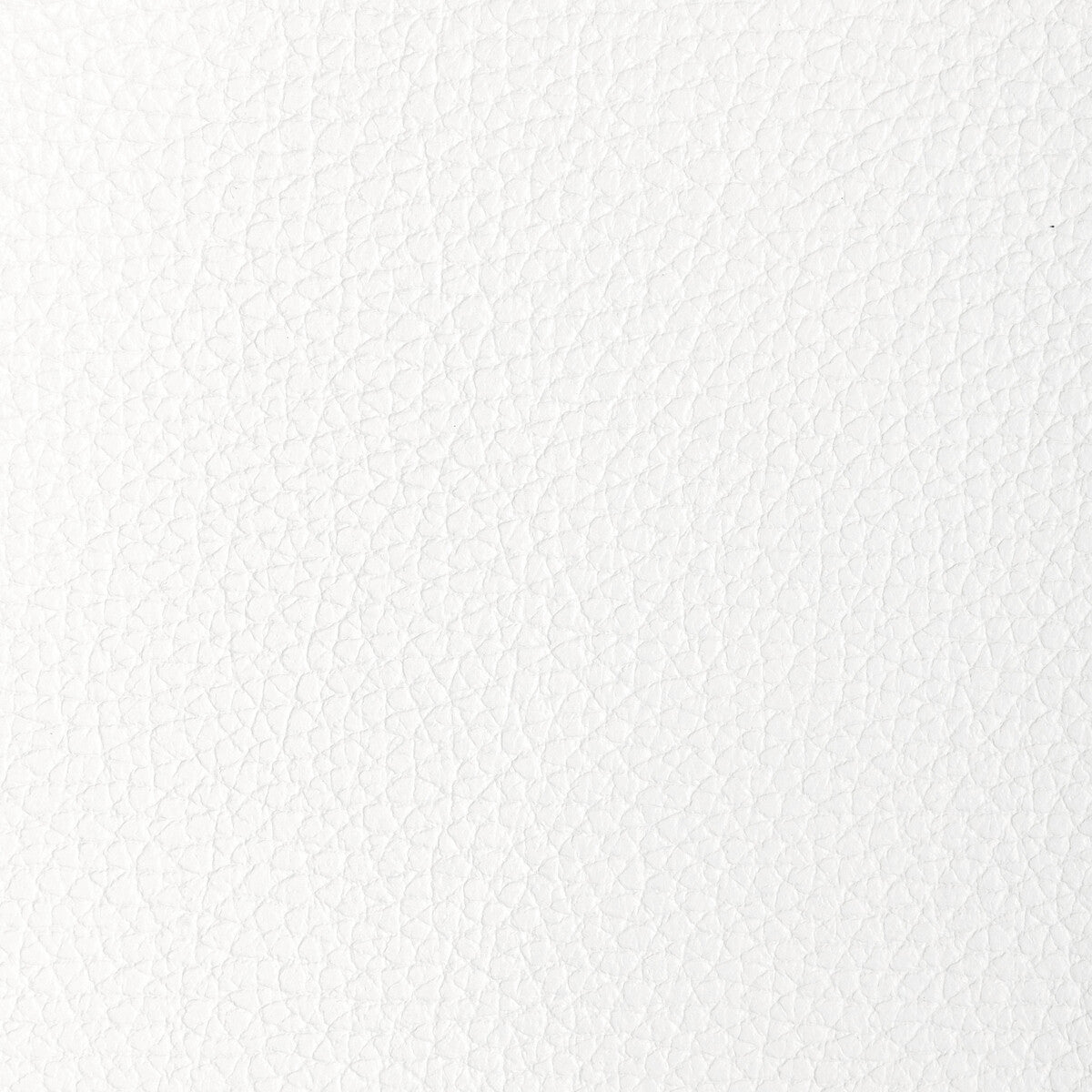 KRAVET DESIGN L-TUCUM.CLOUD.0 KRAVET DESIGN L-TUCUM-CLOUD Fabric - Eade's Wallpaper