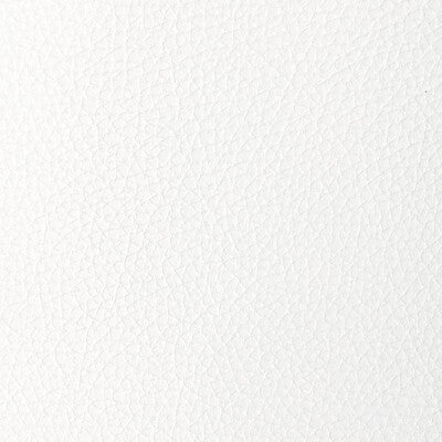 KRAVET DESIGN L-TUCUM.CLOUD.0 KRAVET DESIGN L-TUCUM-CLOUD Fabric - Eade's Wallpaper