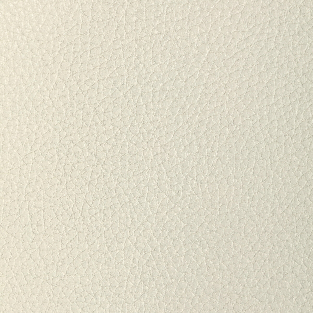 KRAVET DESIGN L-TUCUM.OYSTER.0 KRAVET DESIGN L-TUCUM-OYSTER Fabric - Eade's Wallpaper