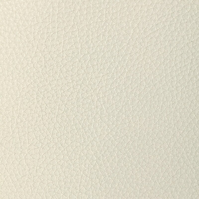 KRAVET DESIGN L-TUCUM.OYSTER.0 KRAVET DESIGN L-TUCUM-OYSTER Fabric - Eade's Wallpaper