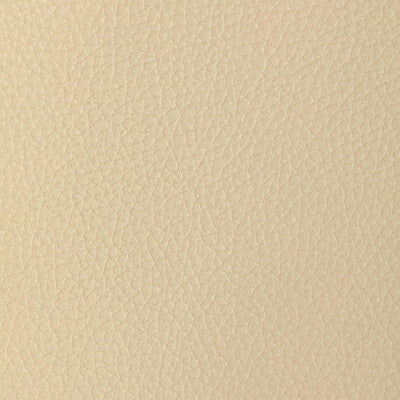 KRAVET DESIGN L-TUCUM.WHEAT.0 KRAVET DESIGN L-TUCUM-WHEAT Fabric - Eade's Wallpaper