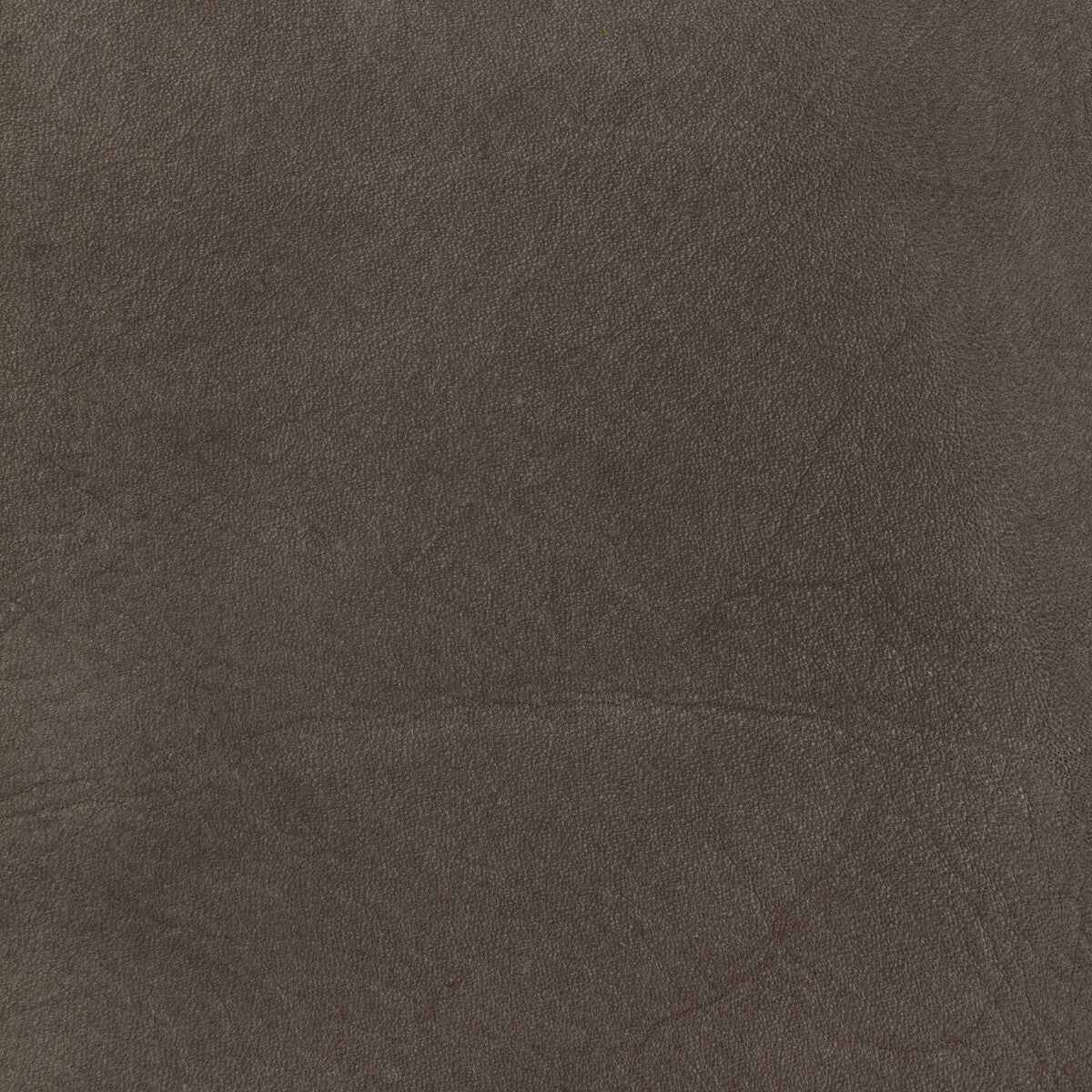 KRAVET DESIGN L-TULAROSE.ESPRESSO.0 KRAVET DESIGN L-TULAROSE-ESPRESSO Fabric - Eade's Wallpaper