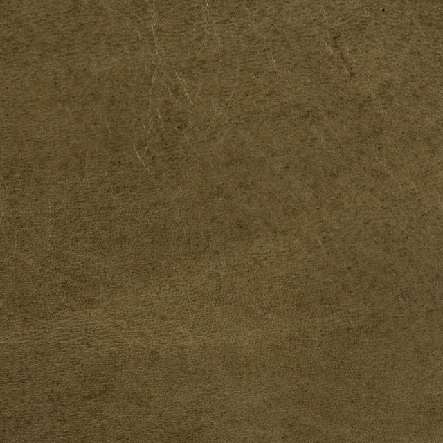 KRAVET DESIGN L-UTAH.BASIL.0 L-UTAH BASIL Fabric - Eade's Wallpaper