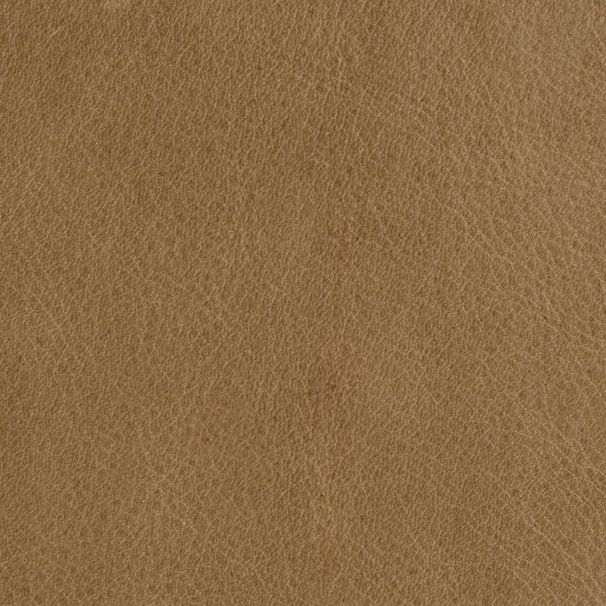 KRAVET DESIGN L-UTAH.PEBBLE.0 L-UTAH PEBBLE Fabric - Eade's Wallpaper