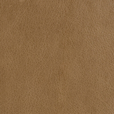 KRAVET DESIGN L-UTAH.PEBBLE.0 L-UTAH PEBBLE Fabric - Eade's Wallpaper