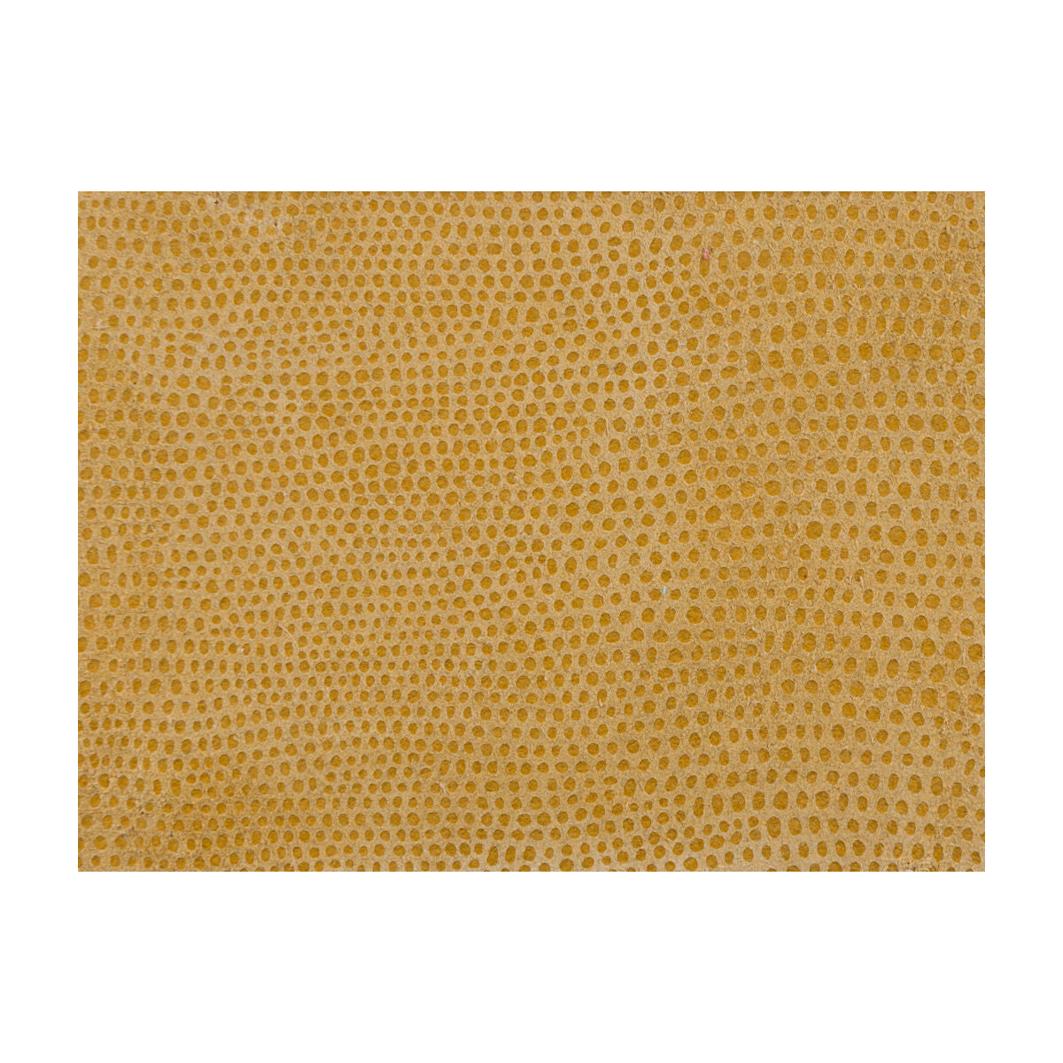 KRAVET DESIGN L-VAVOOM.COIN.0 L-VAVOOM COIN Fabric - Eade's Wallpaper