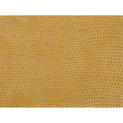 KRAVET DESIGN L-VAVOOM.COIN.0 L-VAVOOM COIN Fabric - Eade's Wallpaper