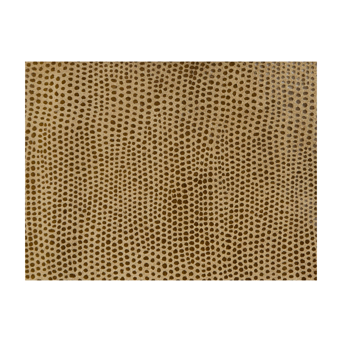 KRAVET DESIGN L-VAVOOM.TAWNY.0 L-VAVOOM TAWNY Fabric - Eade's Wallpaper