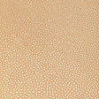 KRAVET DESIGN L-WHIT.CAMEL.0 KRAVET DESIGN L-WHIT-CAMEL Fabric - Eade's Wallpaper