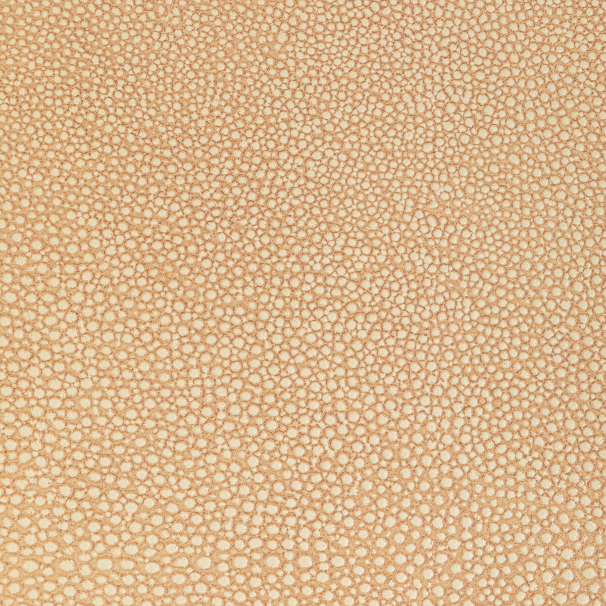 KRAVET DESIGN L-WHIT.CAMEL.0 KRAVET DESIGN L-WHIT-CAMEL Fabric - Eade's Wallpaper