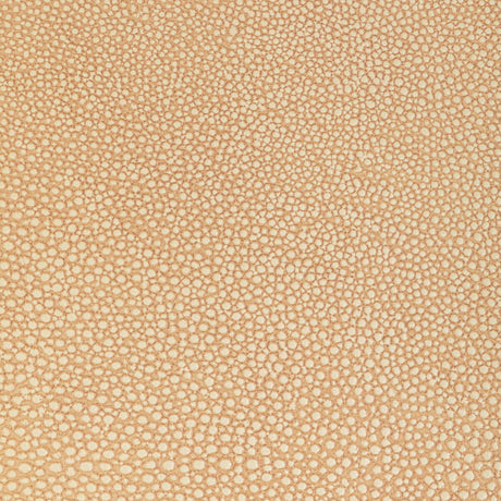 KRAVET DESIGN L-WHIT.CAMEL.0 KRAVET DESIGN L-WHIT-CAMEL Fabric - Eade's Wallpaper