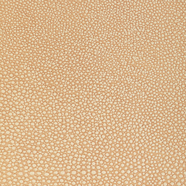 KRAVET DESIGN L-WHIT.CAMEL.0 KRAVET DESIGN L-WHIT-CAMEL Fabric - Eade's Wallpaper