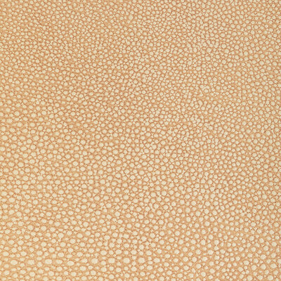 KRAVET DESIGN L-WHIT.CAMEL.0 KRAVET DESIGN L-WHIT-CAMEL Fabric - Eade's Wallpaper