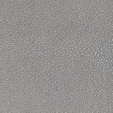 KRAVET DESIGN L-WHIT.GREY.0 KRAVET DESIGN L-WHIT-GREY Fabric - Eade's Wallpaper