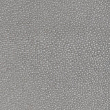 KRAVET DESIGN L-WHIT.GREY.0 KRAVET DESIGN L-WHIT-GREY Fabric - Eade's Wallpaper