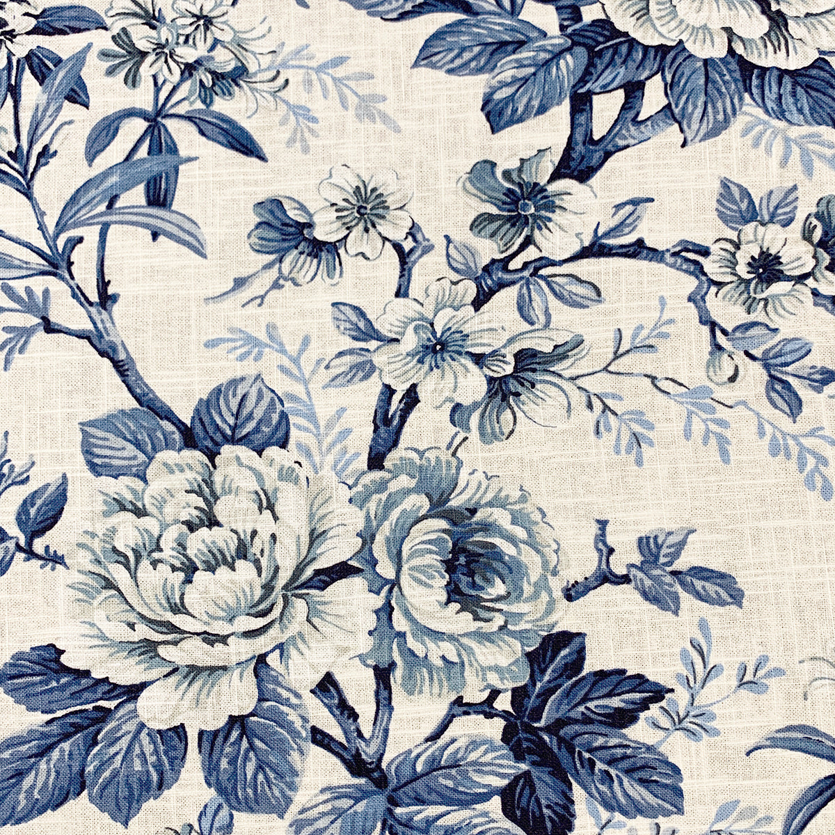 Eade’s LAMORE BLUECHINA BLUECHINA