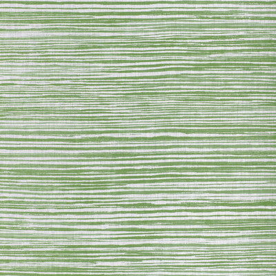 KRAVET BASICS LANDLINES.30.0 LANDLINES GRASS Fabric - Eade's Wallpaper