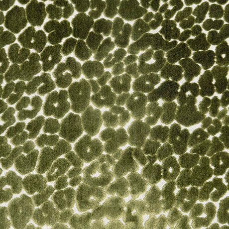 Eade’s LANDON OLIVE OLIVE