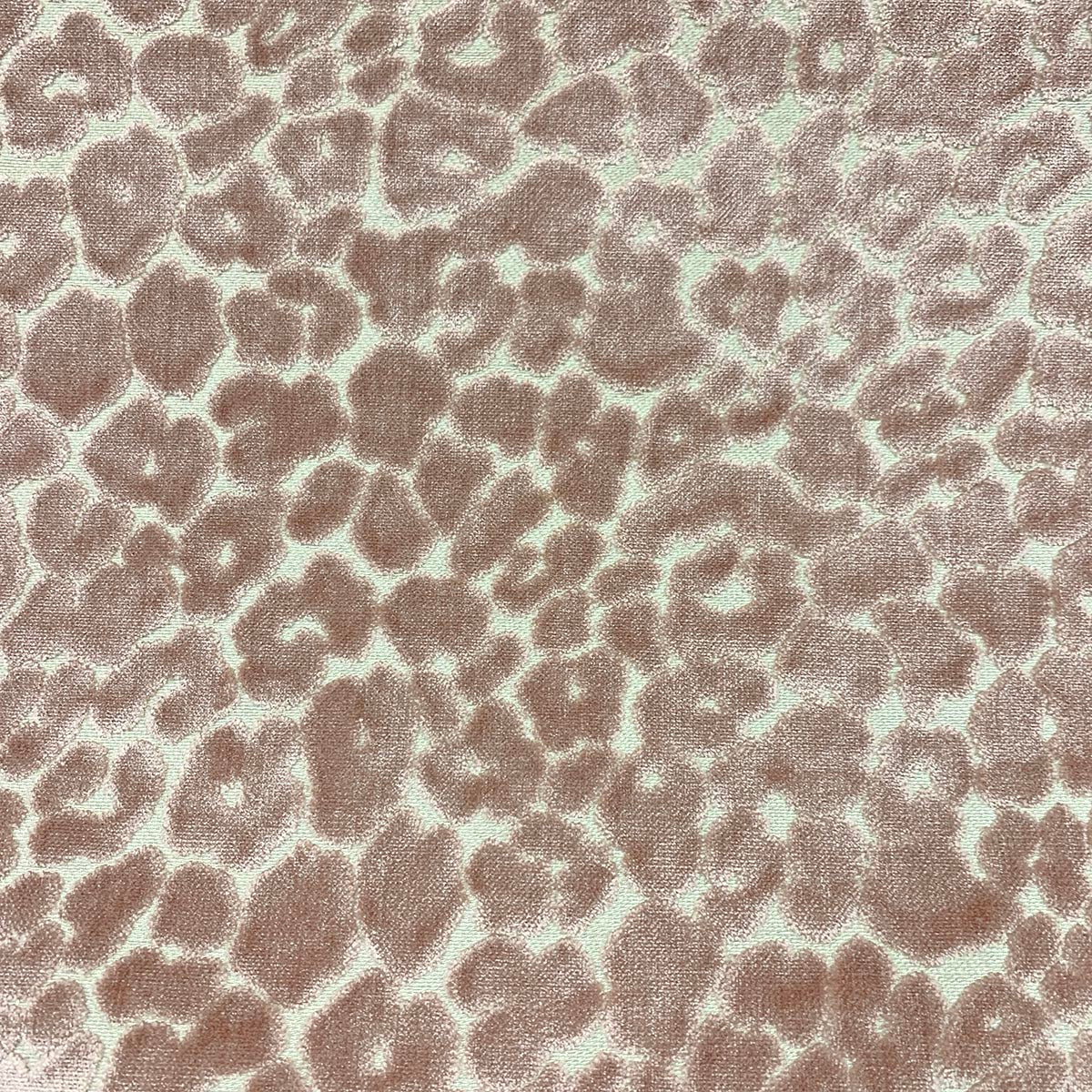 Eade’s LANDON POSEY POSEY